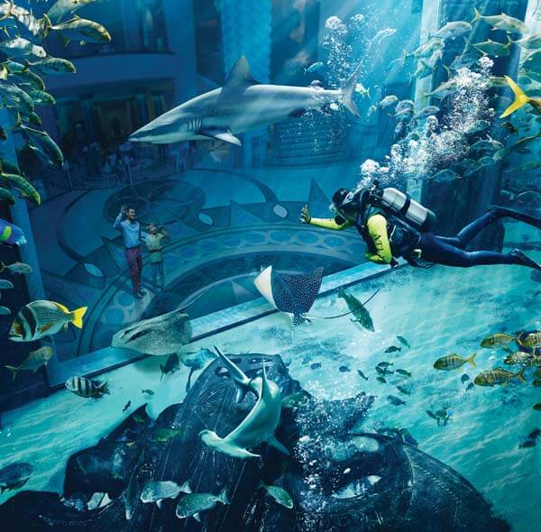 Lost Chambers Aquarium Dubai Tickets